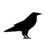 Raven Dynamics Ltd.