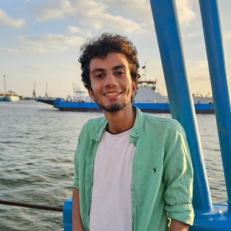 Aly (Ayman) Sarhan